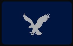 American Eagle Gift Card